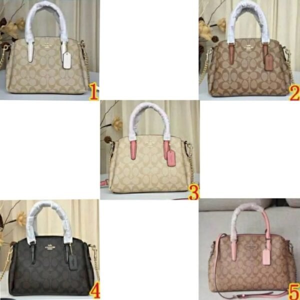 Coach Mini Sage Carryall In Signature Canvas