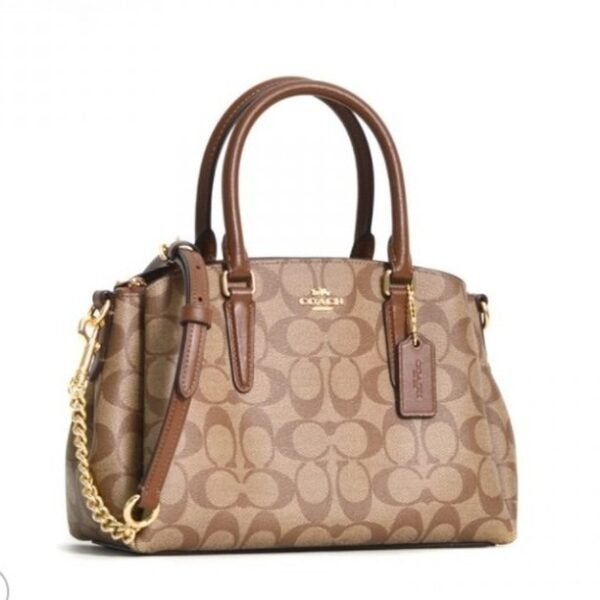 Coach Mini Sage Carryall In Signature Canvas