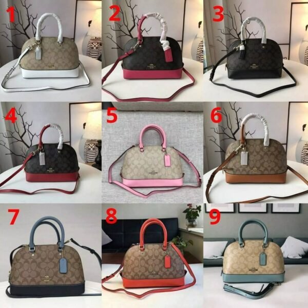 Coach Sierra Small Colorblack Signature