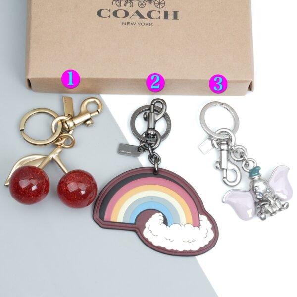 Coach Keychain