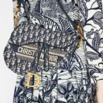 Christian Dior Saddle Bag Oblique Embroidery
