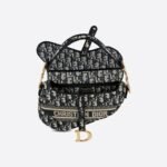 Christian Dior Saddle Bag Oblique Embroidery