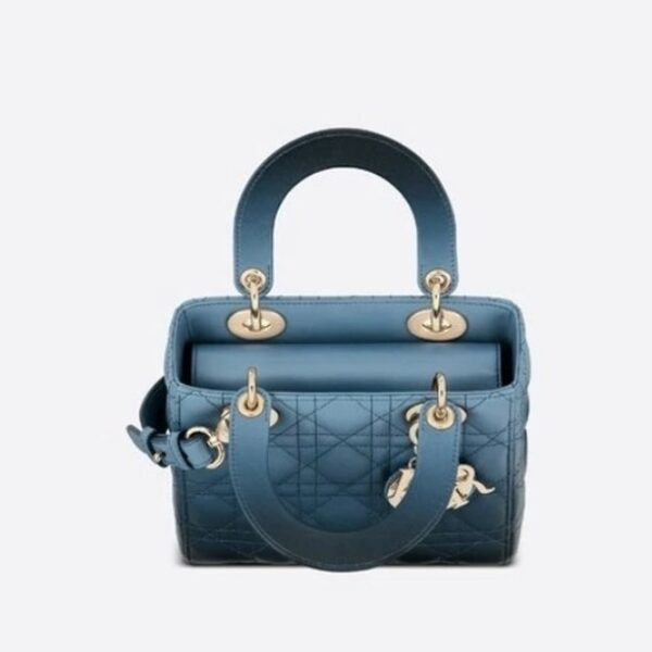 Christian Dior Lady Dior Gradient