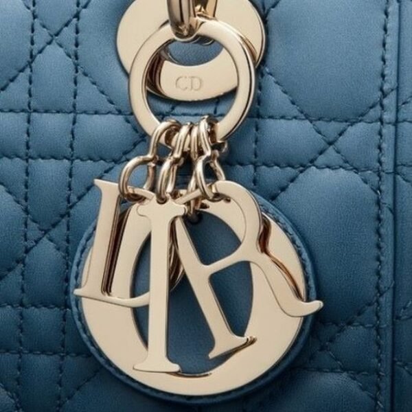 Christian Dior Lady Dior Gradient