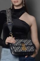 Christian Dior Dioraddict Bag Oblique