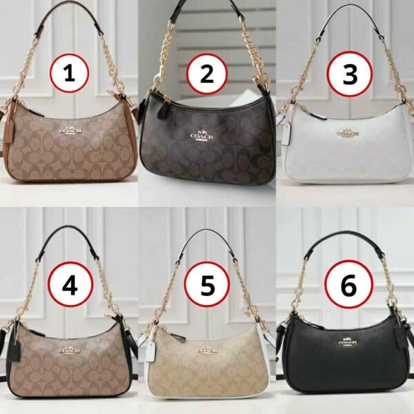 Coach Teri Shoulder Bag in SIgnature Canvas