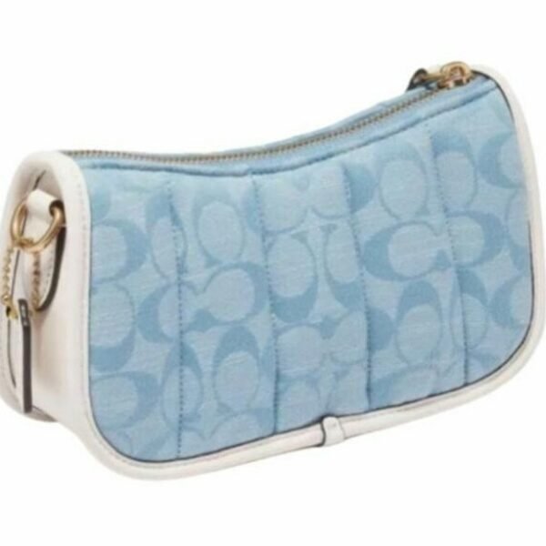 Coach Swinger 20 Bag