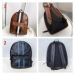 Coach Stripe Leather Backpack