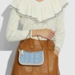 Coach Swinger 20 Bag