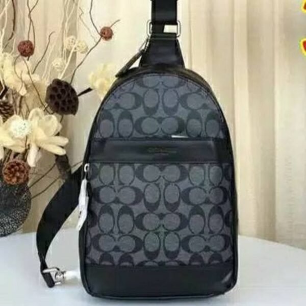 Coach Signature Slingbag