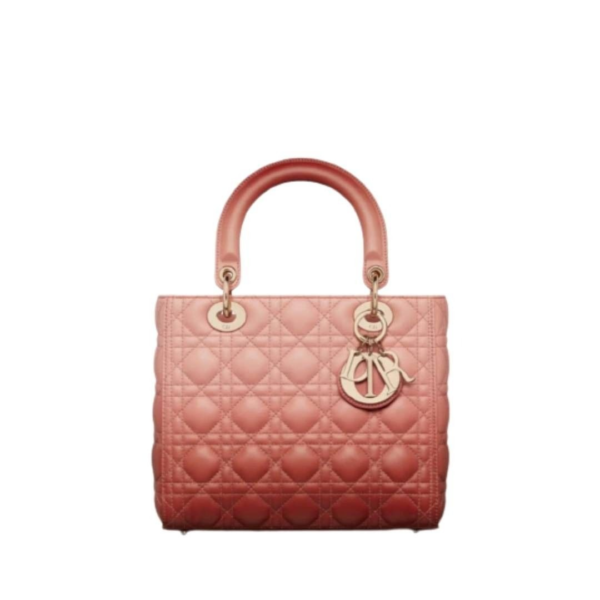 Christian Dior Lady Dior Gradient