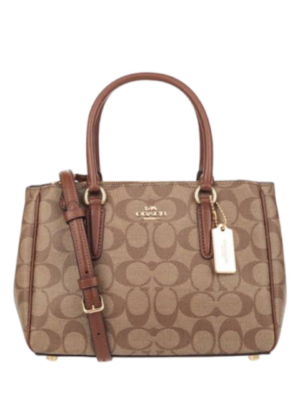 Coach Mini Sage Carryall In Signature Canvas