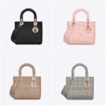 Christian Dior Lady D-Lite Embroidered Canvas