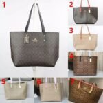 Coach Signature Town Tote