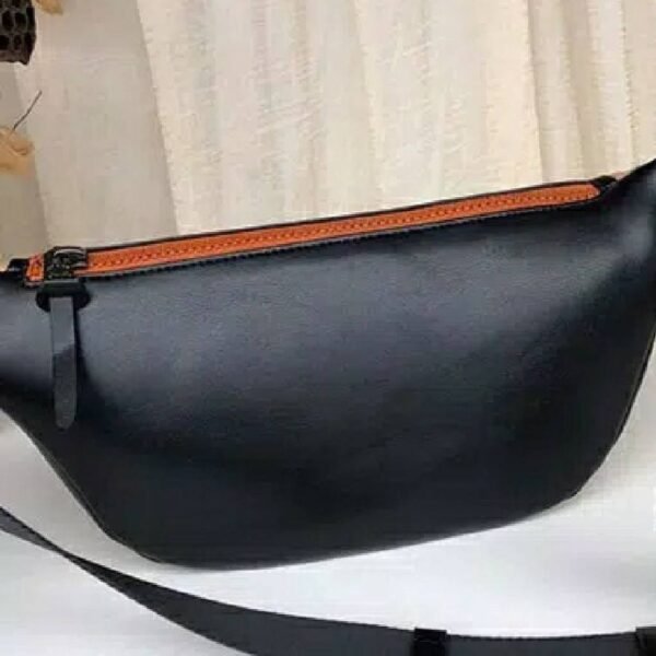 Coach Waist Bag Collection