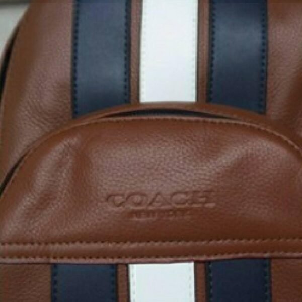 Coach Slingbag Collection