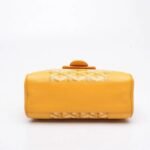 Goyard Mini Saigon