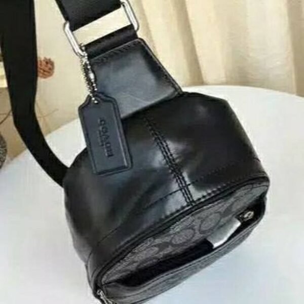 Coach Signature Slingbag
