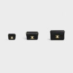 Celine Teen Triomphe Bag In Shiny Calfskin