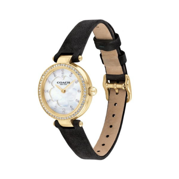 Coach 14503103 Park Women Watch