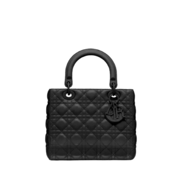 Christian Dior Lady Dior Matte Bag ⁣⁣⁣⁣