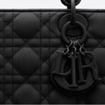 Christian Dior Lady Dior Matte Bag ⁣⁣⁣⁣