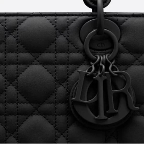 Christian Dior Lady Dior Matte Bag ⁣⁣⁣⁣