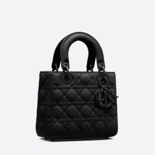 Christian Dior Lady Dior Matte Bag ⁣⁣⁣⁣