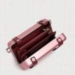Christian Dior Rimowa Small Personal Clutch