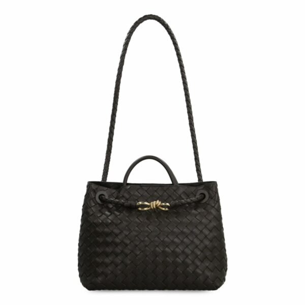 Bottega Veneta Andiamo Bag