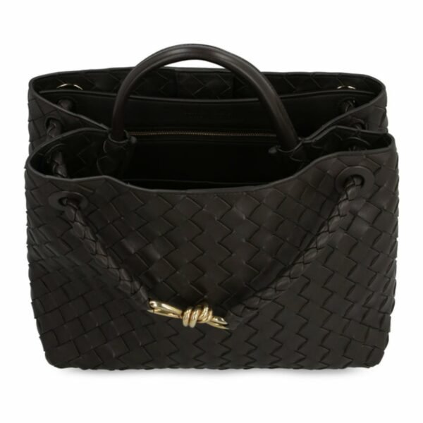 Bottega Veneta Andiamo Bag