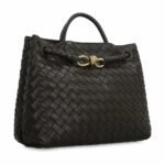 Bottega Veneta Andiamo Bag