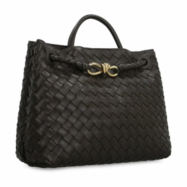 Bottega Veneta Andiamo Bag