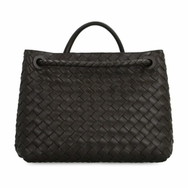 Bottega Veneta Andiamo Bag