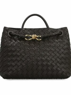 Bottega Veneta Andiamo Bag