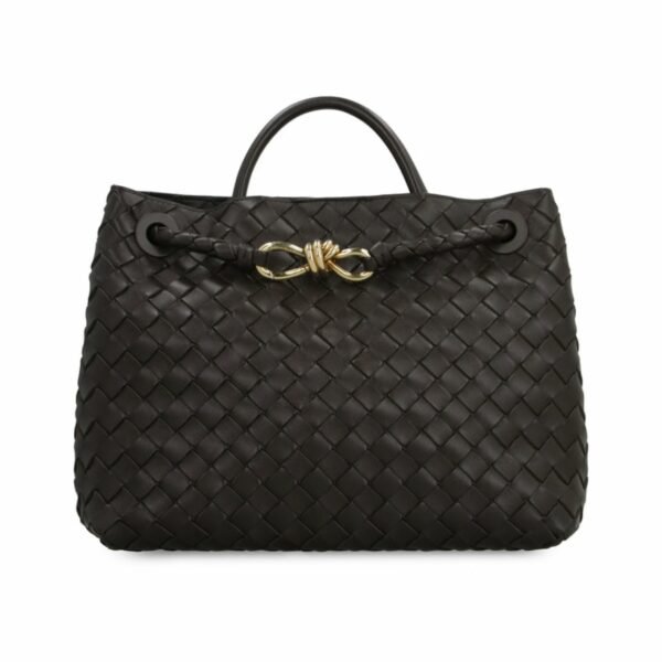 Bottega Veneta Andiamo Bag