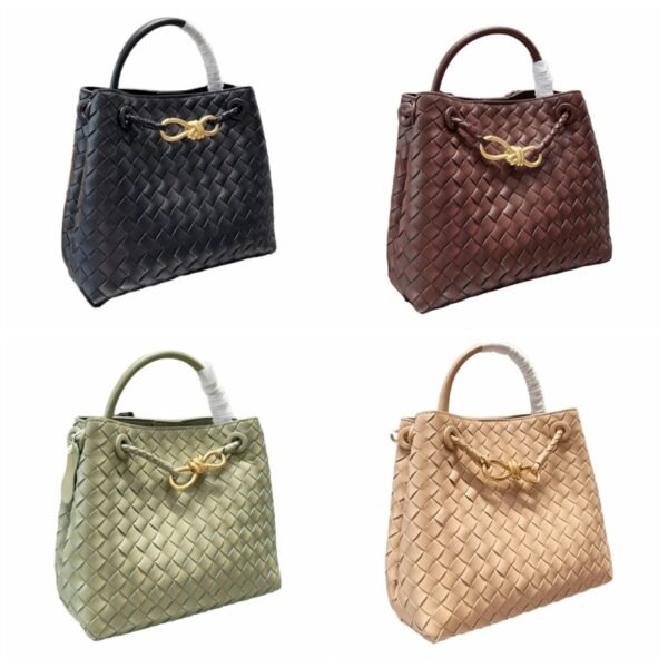Bottega Veneta Andiamo Bag
