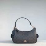 Coach Pennie Shoulder Bag