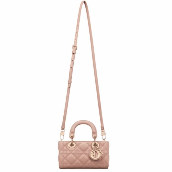 Christian Dior Lady D-Joy