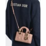 Christian Dior Lady D-Joy