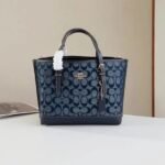 Coach Mollie Tote 25 In Signature