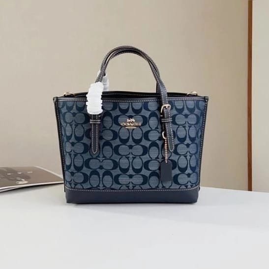 Coach Mollie Tote 25 In Signature
