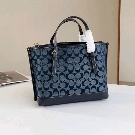 Coach Mollie Tote 25 In Signature