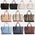 Coach Mollie Tote 25 In Signature