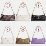 Coach Charlotte Shoulder Bag In Signature Canvas