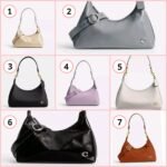 Coach Juliet Bag