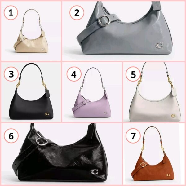 Coach Juliet Bag