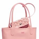 Goyard Anjou Reversible Mini Tote Bag Special Edition