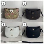 Coach Ella Hobo Bag