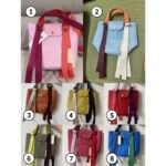 Longchamp Le Pliage XS Re - Play Handbag Bag